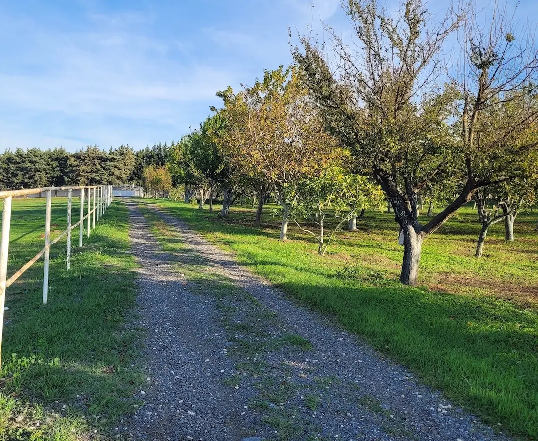 Farm